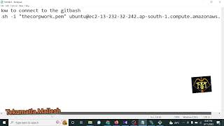 How to connect the aws ec2 instance with the Git Bash using SSH client