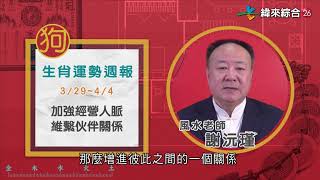 03/29-04/04｜雞 狗 豬｜2021風水生肖運勢週報