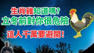 命理提醒：生肖雞，11月7日是立冬節氣！立冬前，你千萬要避開這人，小心霉運纏身！必看！ #生肖雞運勢 #生肖雞運程 #屬雞運勢 #屬雞運程