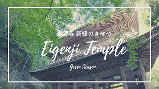 【滋賀】新緑の永源寺 Eigenji Temple -Green season in Shiga