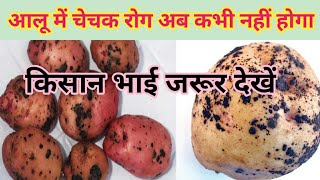 आलू में चेचक की दवा | Aalu Me Chechak Rog | Black Scurf of Potato | आलू की फसल में चेचक