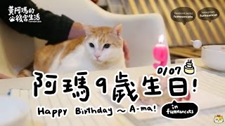 黃阿瑪的後宮生活-阿瑪9歲生日～Happy Birthday to A-ma！