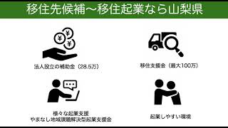 【地方移住検討中】地方起業なら山梨県がいい４つのポイント