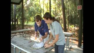 sweep net sorting 1