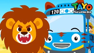 Safari Bus Tayo Full Compilation (+60 mins) l Learn Animals with Vehicles l Tayo English Episodes