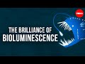 The brilliance of bioluminescence - Leslie Kenna