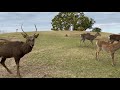 奈良マラソンへの道2011年11月14日「若草山山頂編」