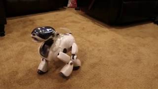 Sony AIBO ERS-7 running Mind 2