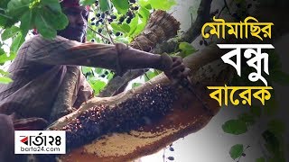 মৌমাছির বন্ধু আব্দুল বারেক | Barta24.com