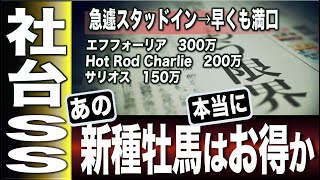 【緊急企画】社台の新種牡馬たち2023　あの種牡馬は本当にお買い得なのか　【計算する血統】No.191