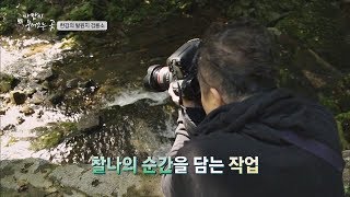 끓임 없이 흐르는 물 사진으로 담는 '김중만' 사진작가 바람이 불어오는 곳 5회