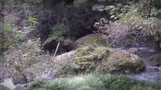 雨乞の滝(神山町) マイナスイオンが心地いい・徳島県. Amagoi Falls  (Tokushima Prefecture in Japan)