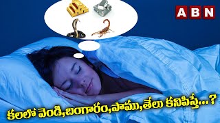 కలలో వెండి ,బంగారం పాము తేలు కనిపిస్తే? Seeing Gold, Snakes in Your Dreams: What Does it Mean? | ABN