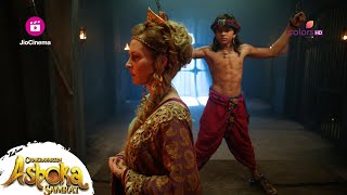 इतने ज़ुल्म सहने के बाद भी...बाल अशोका ने जुर्म नहीं कबूला | Chakravartin Ashoka Samrat