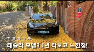 TESLA 테슬라 모델3 1년 타고 느낀 점 10가지! (장점 단점)