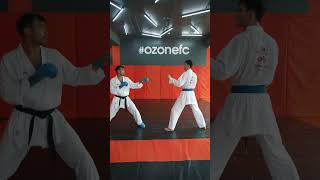 Kizami and gyaka tsuki jodan karate technique by world champion