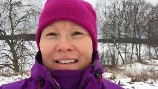 ViviAnn Labba K. Day 11: RESEARCH SAMI PEOPLE of 90-day Youtube challenge