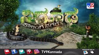 Don't Miss ನಿಗೂಢ 'ಕಾಳಿಂಗನಗರ' ನಾಳೆ ರಾತ್ರಿ 9.30ಕ್ಕೆ (23-03-2023) | #TV9A