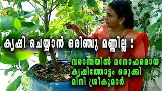 കൊച്ചു വരാന്തയിലെ വലിയ കൃഷിത്തോട്ടം I Beautiful Balcony Garden In Kochi Kerala