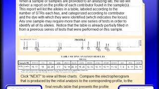 animation that explains more about how a profile is derived from an electropherogram