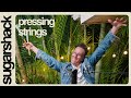 Pressing Strings - Alien Life (Live Music) | Sugarshack Sessions