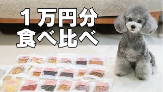 1万円分の犬おやつから食べ比べ→まさかの結果w