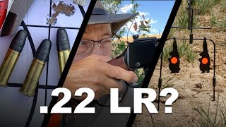 .22 Long Rifle - What are they good for?