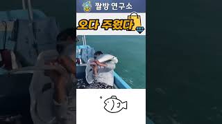 오다 주웠어 🐟 대물 생선을 손으로 건져 올린 남자