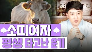 [서울용한점집무당 장진호법사] 🐂👧🏻 소띠 여자의 타고난 특징 성격과 평생운세는?