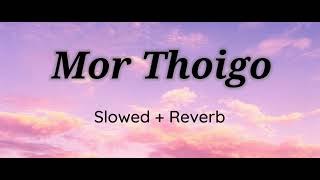 Mor Thoigo || Bishnupriya Manipuri slowed and reverb songs || Pankaj Sinha