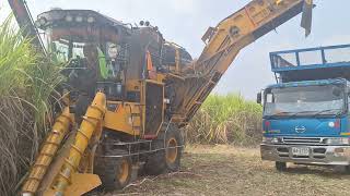 รีวิวแมงป่องยักษ์รถตัดอ้อย Liugong s935a ยังไม่ปิดฤดูกาลจัดไปสองหมื่นตัน sugar cane cutter