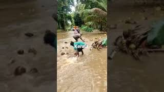 മഴ വെള്ളത്തിൽ തേങ്ങ ഒഴുകി വരുന്നത് കണ്ടോ Kerala rain /5-7-2023