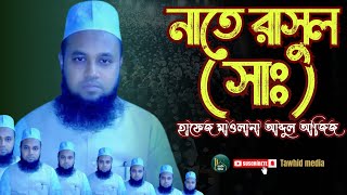 হৃদয়কাড়া নাতে রাসুল | Mawlana Abdul aziz Official Video 2024 Song নতুন গজল