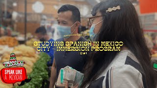 Studying Spanish in Mexico City - Spanish immersion in Mexico City