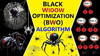 Black Widow Optimization (BWO) Algorithm || Step-By-Step || ~xRay Pixy