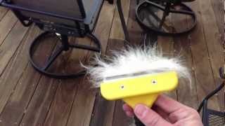 Review of the Furminator Hair Removal Tool for Dogs