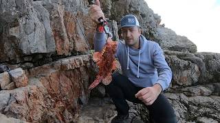 Light shore jigging - Red Scorpionfish (Skarpina)