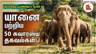 யானைகள் தினம் சிறப்பு தொகுப்பு | Unknown Facts About Elephant | World Elephant Day