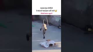 એક માણસ જાત એવી છે 😅😂