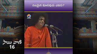 నిజమైన మానవుడు ఎవరు? | Sri Sathya Sai Baba on Who is A True Human Being? | Sai Vani 16