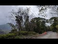 高134 青山巷產業道路 那瑪夏瑪雅郊區 開頭緋寒櫻