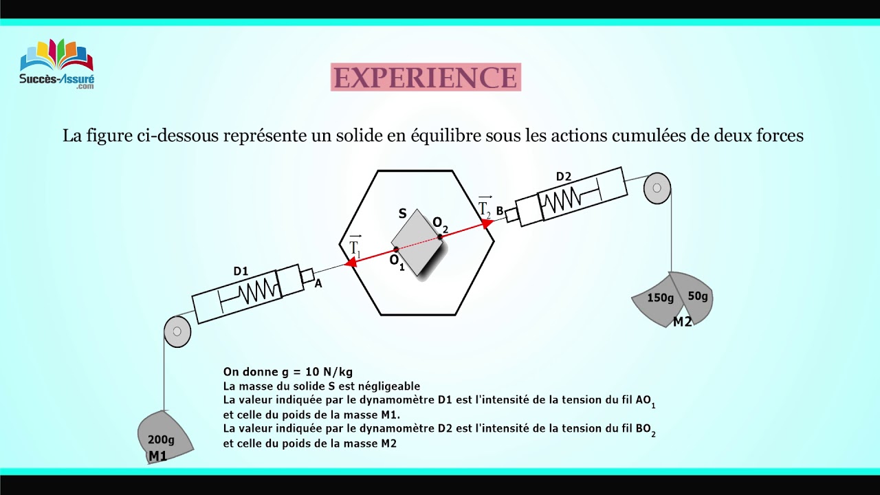 Equilibre D'un Solide Soumis à Deux Forces - YouTube