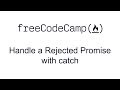 ES6 - Handle a Rejected Promise with catch - Free Code Camp