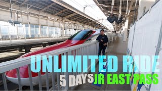 JR EAST PASS ( TOHOKU) TRIP SHINKANSEN 2023