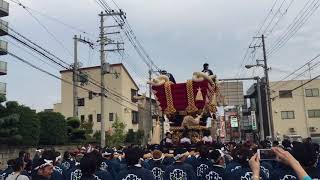 百舌鳥八幡中百舌鳥町ふとん太鼓2017試験担ぎ