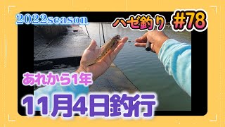 2022年【ハゼ釣り#78】11月4日‗ちょうど1年前のアノ場所で釣ってみた☆‗釣果情報