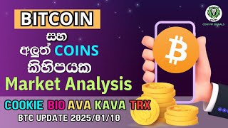 BTC හැරෙන්න පුලුවන් මේ Leval එකෙන්🚀 BIO | COOKIE | AVA | KAVA | TRX | XRP