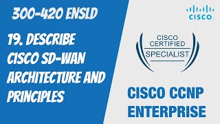 19. Describe Cisco SD-WAN Architecture and Principles