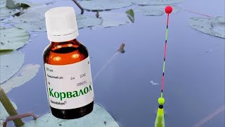 Ловля карася на КОРВАЛОЛ.  Рибалка на карася у спеку.
