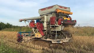 TAMCO Z3000 2020 เก็บงานนาดอย อ.พาน จ.เชียงรายEP.2🔥🔥🔥 thailand combine harvester